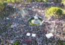 La defenza por la educación publicas sumó desde todos los rincones del país