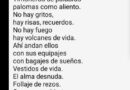 Poeta