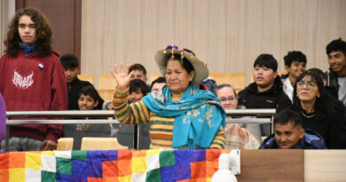 Un total de 795 personas integrantes de 20 instituciones, realizaron su promesa. En su mayoría fueron adultos que no habían podido hacerlo durante su etapa escolar y resignificaron, con su participación, el acto de prometer fidelidad a la Bandera.