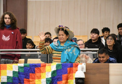 Un total de 795 personas integrantes de 20 instituciones, realizaron su promesa. En su mayoría fueron adultos que no habían podido hacerlo durante su etapa escolar y resignificaron, con su participación, el acto de prometer fidelidad a la Bandera.