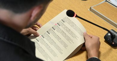Chapas patentes ocultas o adulteradas