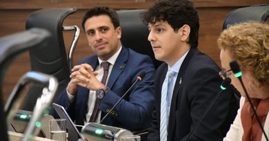 Regulación y funcionamiento de gimnasios