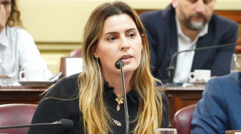 CATTALINI: “DIMOS UN PASO IMPORTANTE PARA QUE SE CUMPLA LA CUOTA ALIMENTARIA EN SANTA FE”
